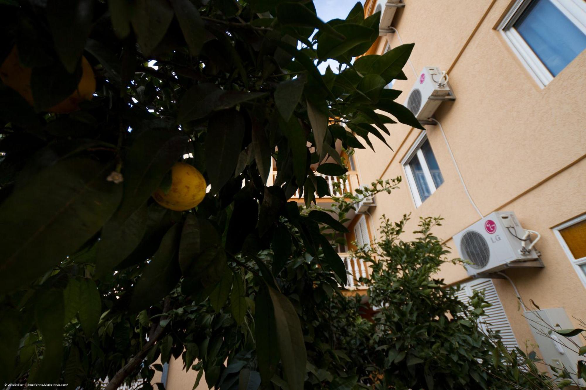 אולסינץ' Apartments Dalila מראה חיצוני תמונה